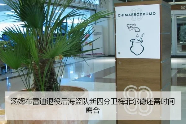 汤姆布雷迪退役后海盗队新四分卫梅菲尔德还需时间磨合